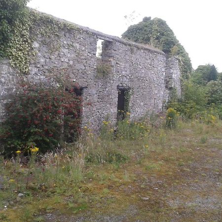 Apartament The Townhouse Claremorris Zewnętrze zdjęcie